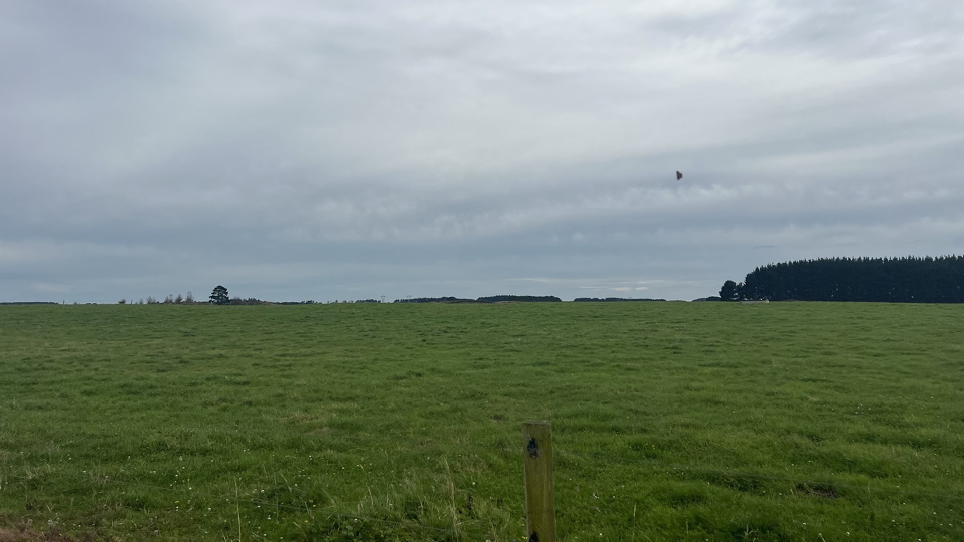 Foxton Solar Farm